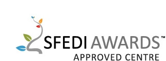 Small Firms Enterprise Development Initiative